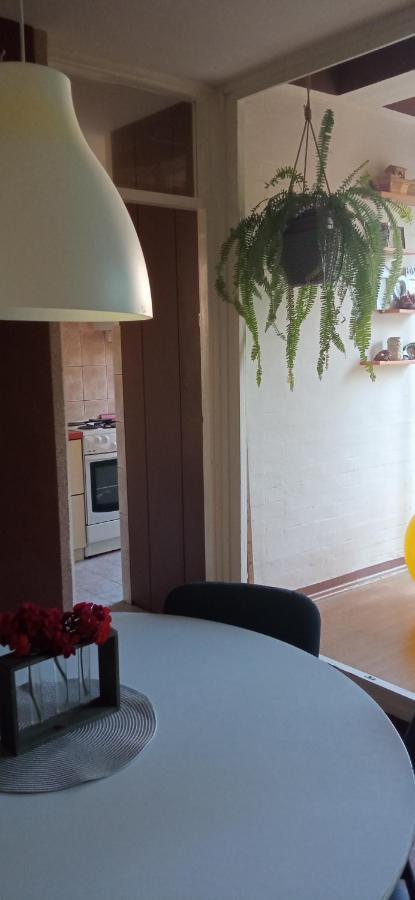 Branysol Apartman Novi Sad Exteriér fotografie