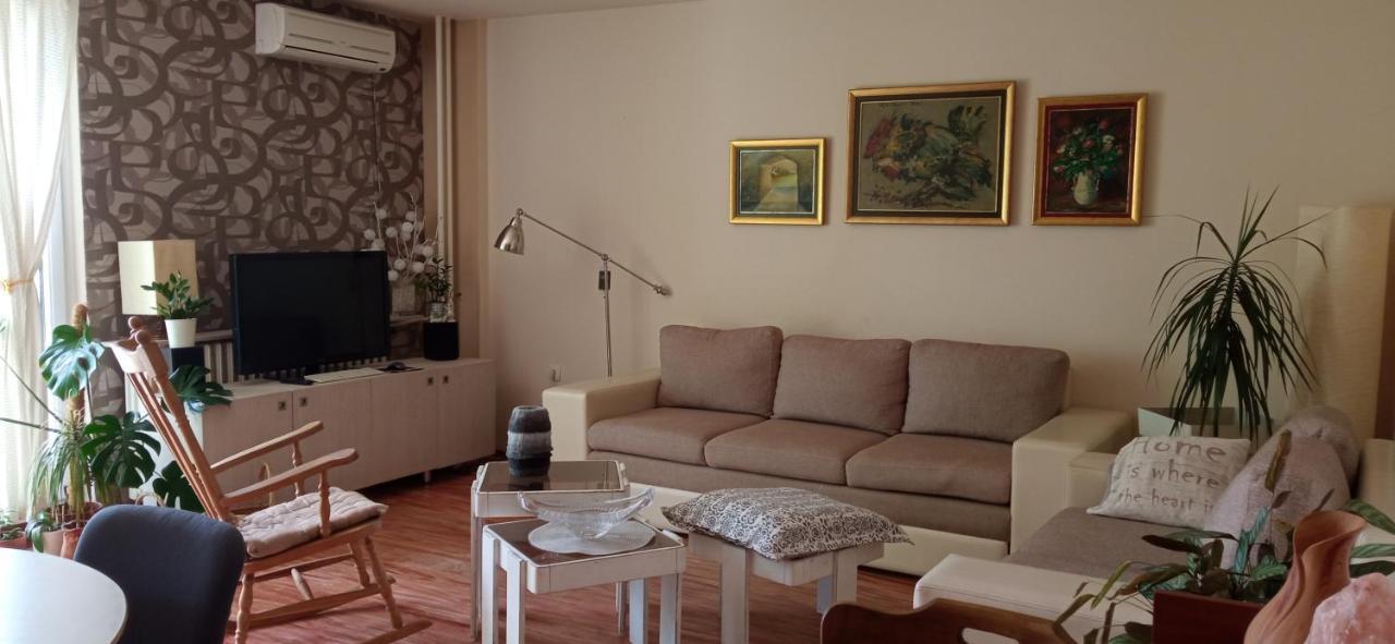Branysol Apartman Novi Sad Exteriér fotografie