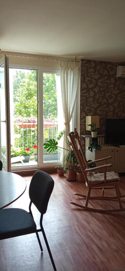 Branysol Apartman Novi Sad Exteriér fotografie